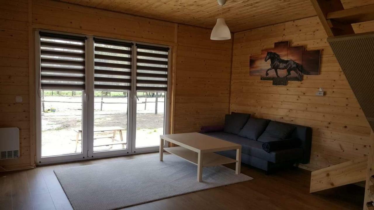 Villa Eko Przystanek Kepie Zaleszanskie Exterior foto